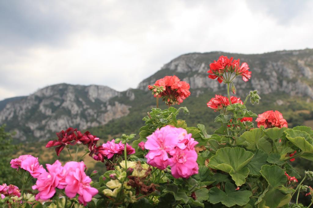 Pensiune Safrane Băile Herculane Rum bild