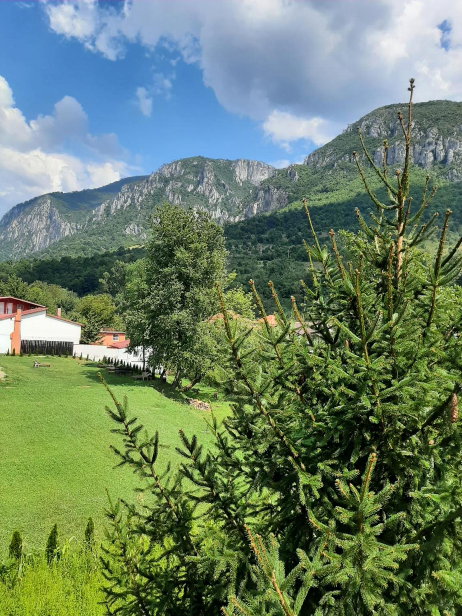 Pensiune Safrane Băile Herculane Exteriör bild