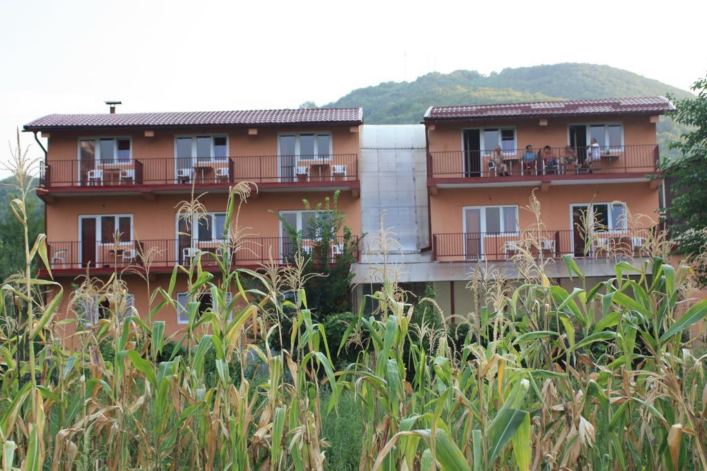 Pensiune Safrane Băile Herculane Rum bild